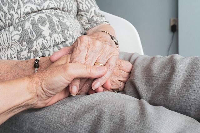 Elderly Companionship at Home: Benefits, Environment, and Safety