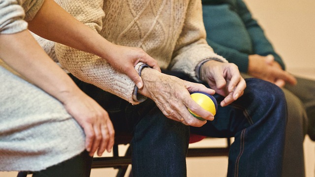 Nurturing Social Well-being: Elderly Companion Services for Isolated Seniors