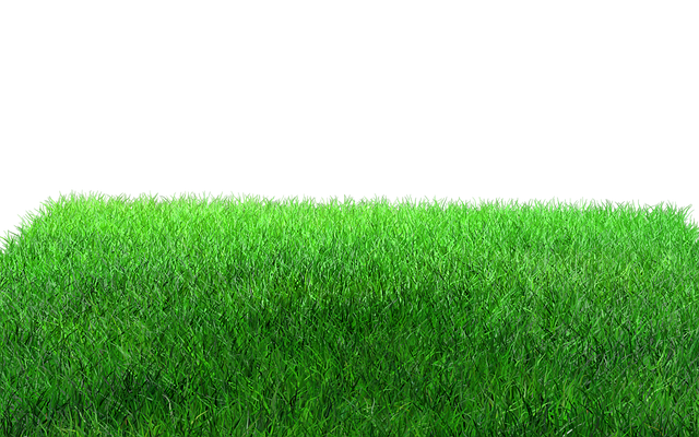 lawn-care-640x480-65922429.png