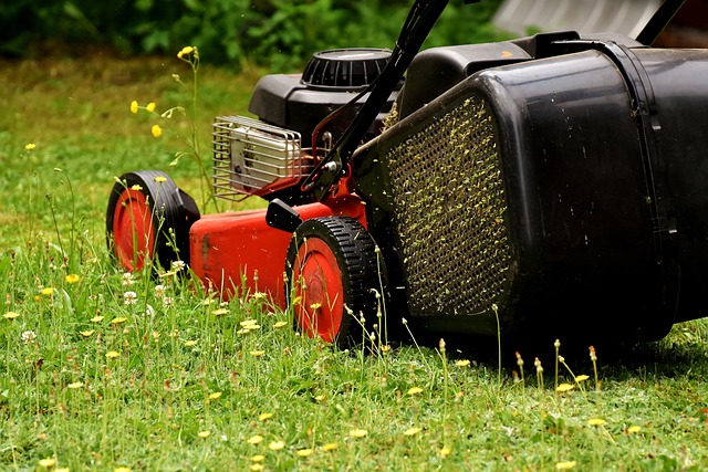 Elevate Your Outdoor Space: Patio & Walkway Installation in Lawn Care & Landscaping