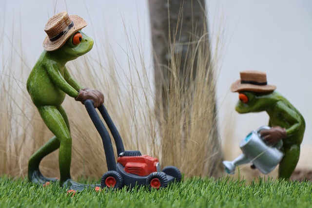 lawn-care-640x480-69762334.jpeg