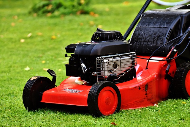 Lawn Care and Landscaping: Transforming Residential Outdoor Spaces