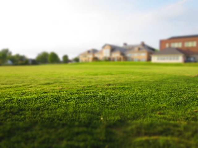 Lawn Care and Landscaping: Transforming Residential Outdoor Spaces