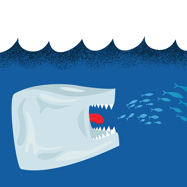 Unleash Profits: Top Sites for Optimal Accumulator Bets Strategies