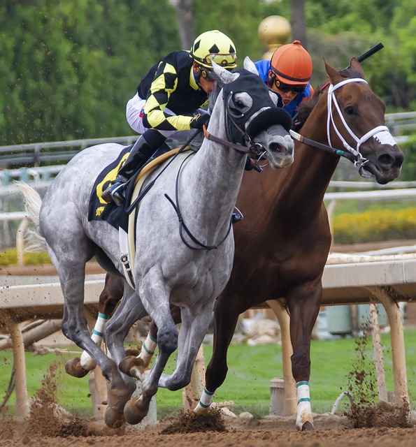 Unraveling Betting Odds: A Comprehensive Guide to Understanding Probabilities