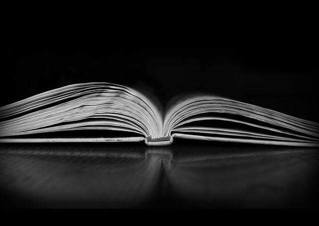Unveiling High-Stakes Gambling: A Review of ‘The Professor, the Banker, and the Suicide King