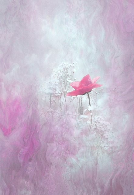 fantasy-640x480-21002584.jpeg