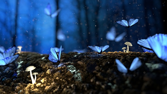 Fantasy