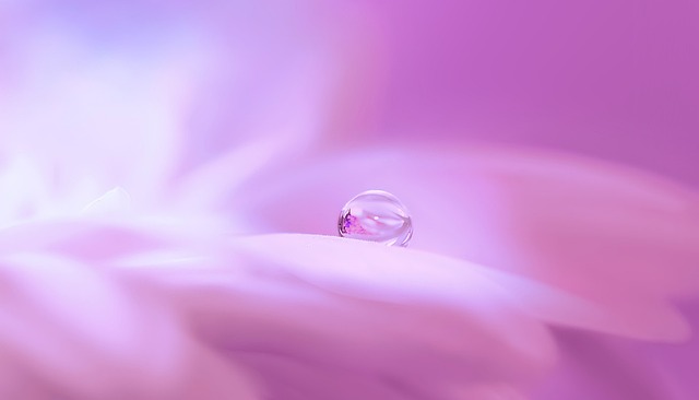 fantasy-640x480-44817191.jpeg