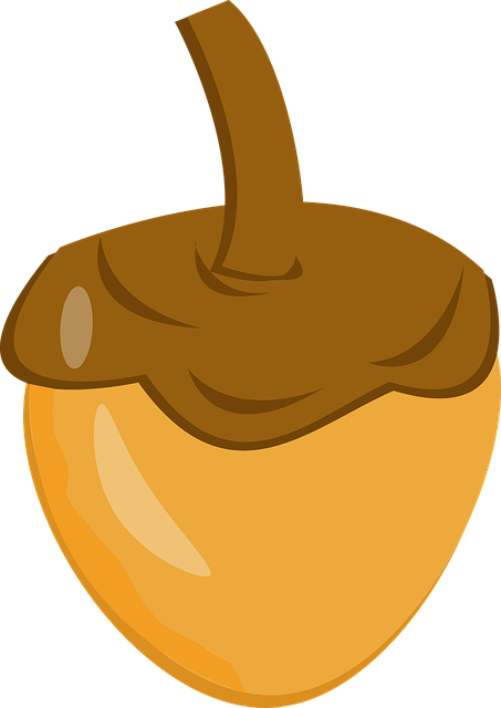 live-640x480-73611297.png