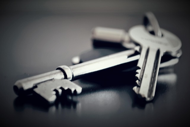 Unleash Potential: Mastering No Deposit Bonuses Strategies