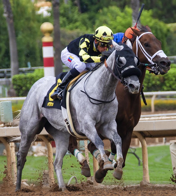 Unraveling Betting Odds: A Comprehensive Guide