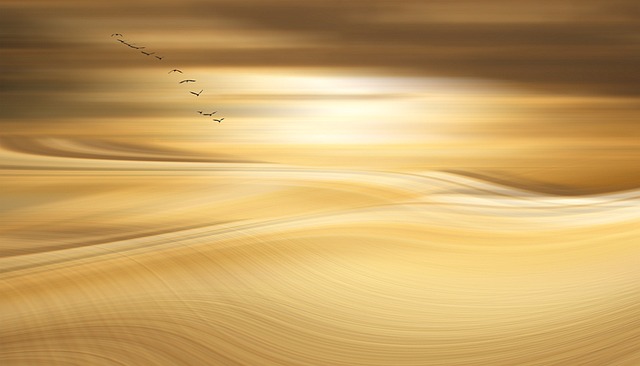 fantasy-640x480-71892671.jpeg