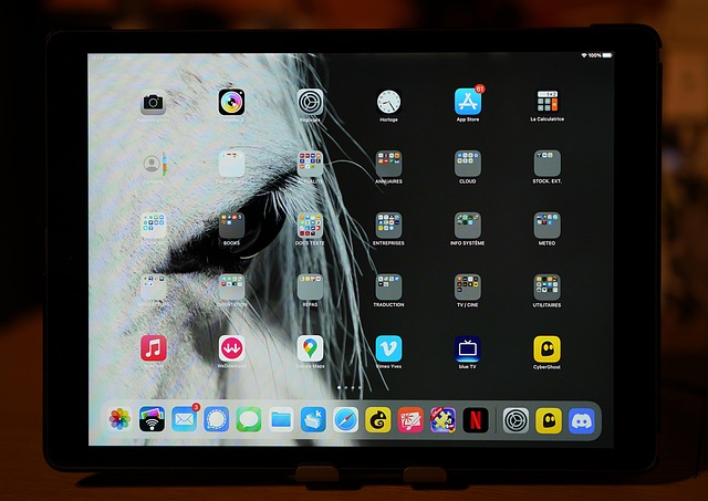 iOS