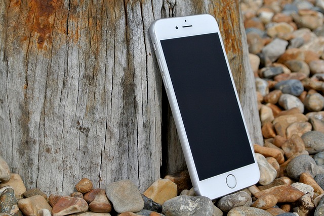 iOS