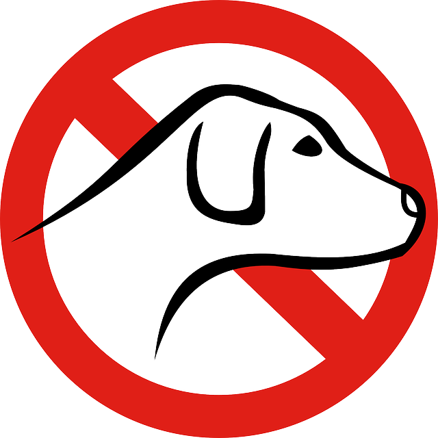No