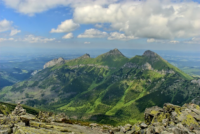 Top