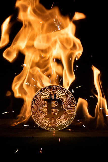 Unleashing the Potential: Top Bitcoin Casinos and Security Guide
