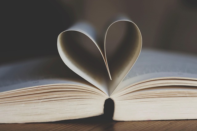 books-640x480-713733.jpeg