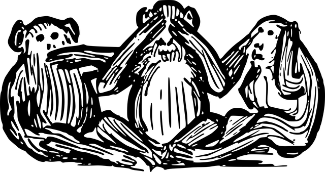 no-640x480-61911428.png