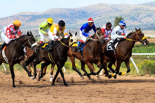 betting-640x480-78350664.jpeg
