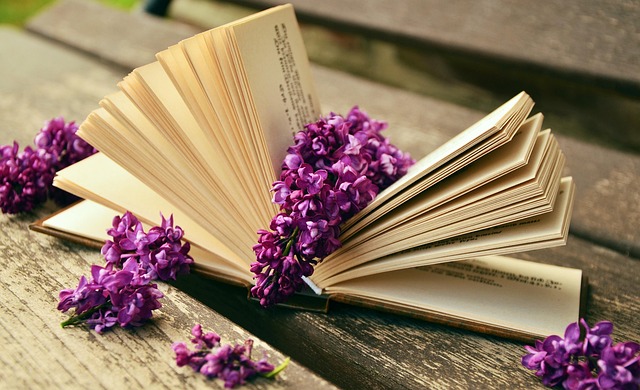 books-640x480-35080917.jpeg