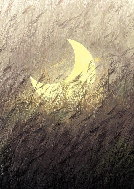 fantasy-640x480-4754349.jpeg