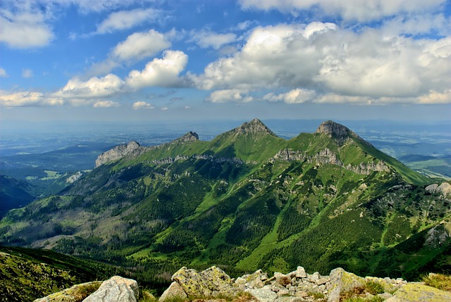 Top