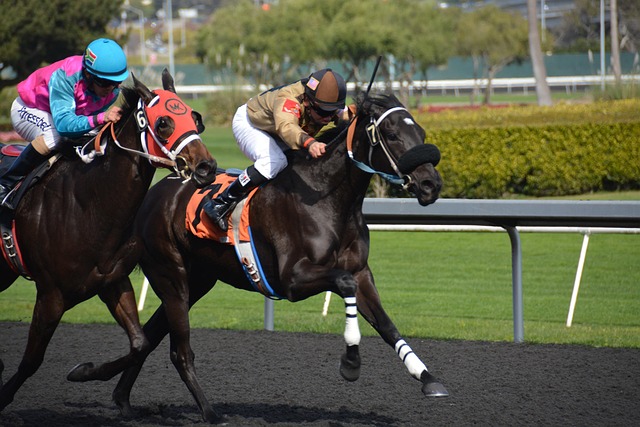Mastering Betting Exchanges: Strategies for Smart Wagering