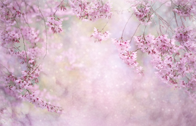 fantasy-640x480-9070915.jpeg