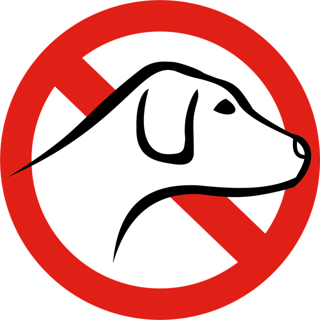 No