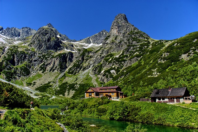 Top