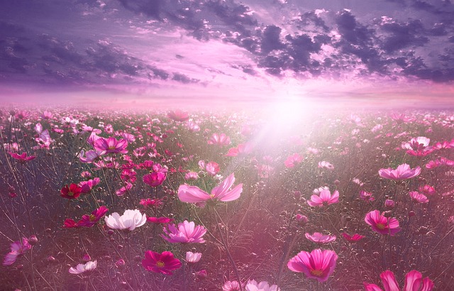 fantasy-640x480-61249424.jpeg