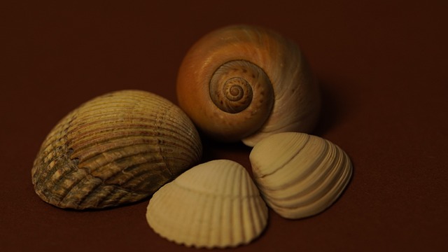 free-640x480-9740100.jpeg