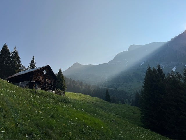 Top