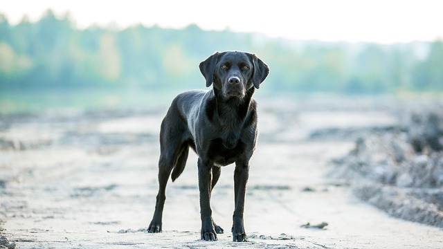 Best