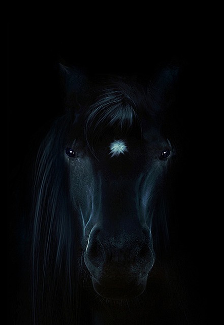fantasy-640x480-3007958.jpeg