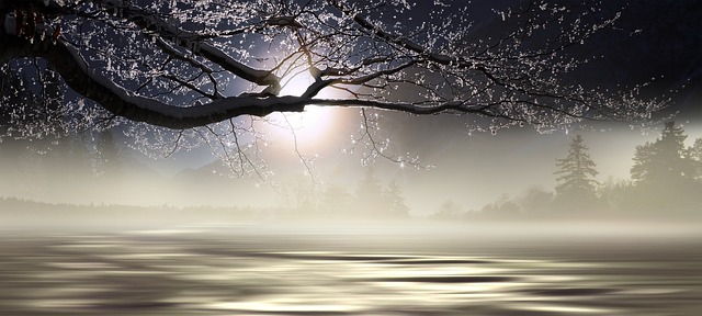 fantasy-640x480-65490635.jpeg