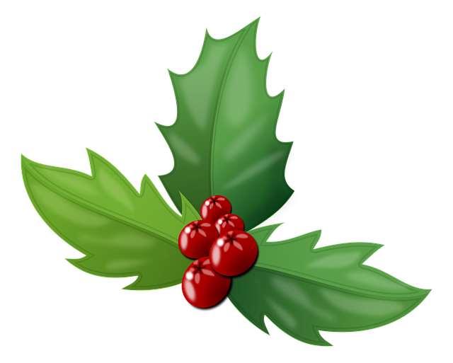 free-640x480-43046405.png