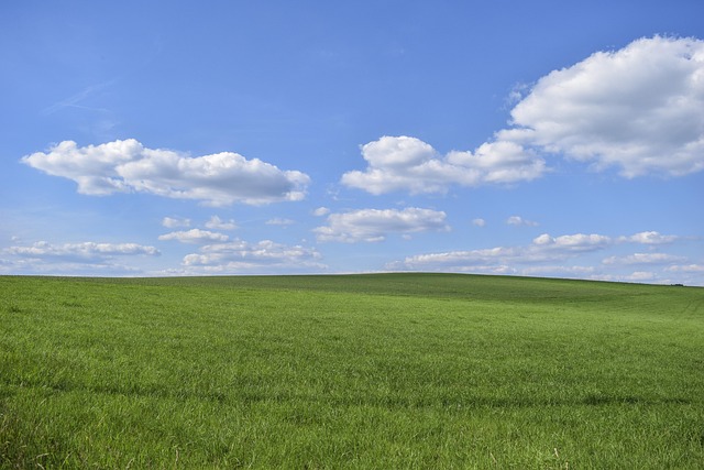 free-640x480-60510980.jpeg