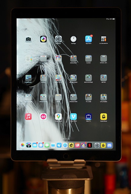 iOS