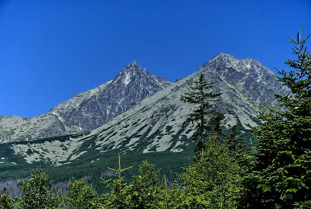 top-640x480-64646545.jpeg