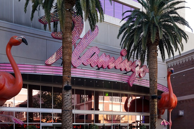 Unveiling Casino Payment Methods: Trends, Security & Integration
