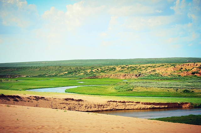 In-Play